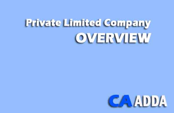A Complete Guide to Private Limited Company