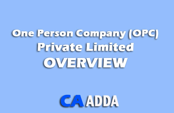 One Person Company : Overview